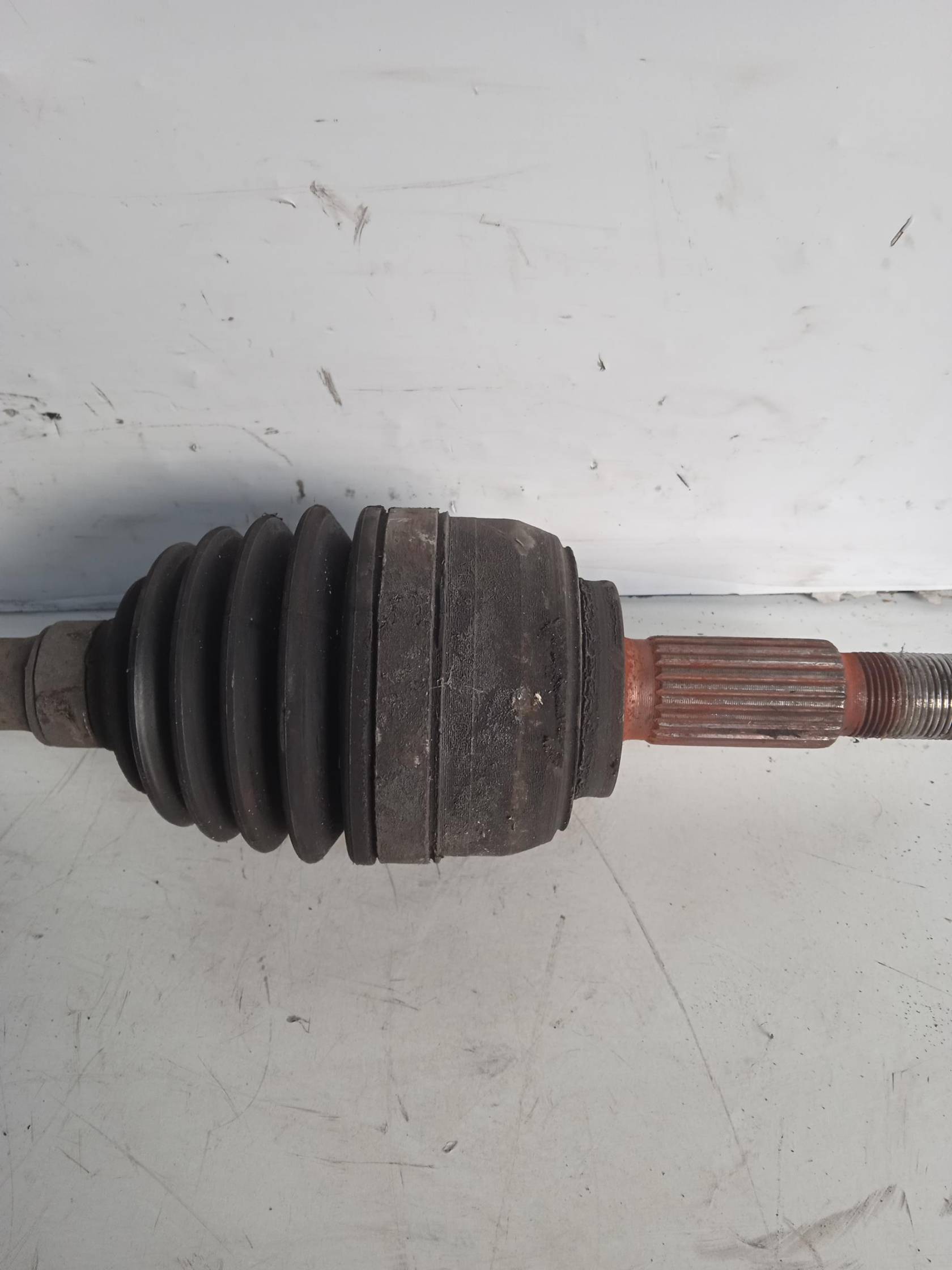 Semialbero ant. compl. dx.